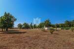 Kuca, Rovinj, prodaja, 246000 €, 31 m2