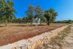 Kuca, Rovinj, prodaja, 246000 €, 31 m2