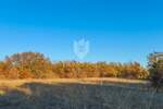 Zemljiste, Barban, Petehi, prodaja, 90000 €, 10733 m2