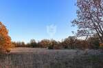 Zemljiste, Barban, Petehi, prodaja, 90000 €, 10733 m2