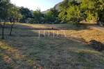 Zemljiste, Vinodol, Bribir, prodaja, 52000 €, 428 m2