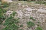 Zemljiste, Solin, Gašpini, najam, 800 €, 1116 m2