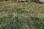 Zemljiste, Solin, Gašpini, najam, 800 €, 1116 m2