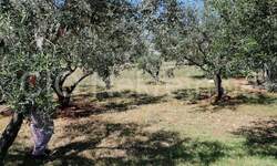 Zemljiste, Trogir, Plano, prodaja, 120000 €, 2245 m2