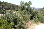 Zemljiste, Trogir, prodaja, 3460600 €, 34606 m2