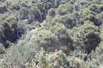Zemljiste, Trogir, prodaja, 3460600 €, 34606 m2