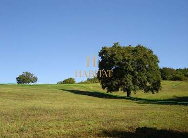 Zemljiste, Motovun, prodaja, 350000 €, 16637 m2