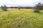 Zemljiste, Umag, prodaja, 35000 €, 861 m2