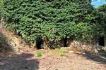 Kuca, Buje, prodaja, 105000 €, 200 m2