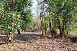 Kuca, Buje, prodaja, 105000 €, 200 m2
