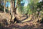 Kuca, Buje, prodaja, 105000 €, 200 m2