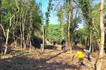Kuca, Buje, prodaja, 105000 €, 200 m2