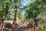 Kuca, Buje, prodaja, 105000 €, 200 m2