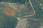 Zemljiste, Oprtalj, prodaja, 70000 €, 4600 m2