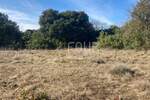 Zemljiste, Marčana, prodaja, 14000 €, 502 m2