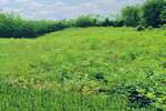 Zemljiste, Labin, prodaja, 74500 €, 1354 m2