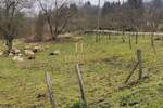 Zemljiste, Vrbovsko, prodaja, 35000 €, 1916 m2