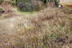 Zemljiste, Umag, prodaja, 750000 €, 3750 m2