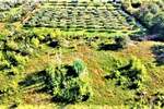 Zemljiste, Umag, prodaja, 126000 €, 560 m2