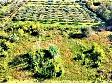 Zemljiste, Umag, prodaja, 144000 €, 640 m2