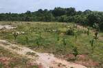 Zemljiste, Svetvinčenat, prodaja, 380000 €, 0 m2