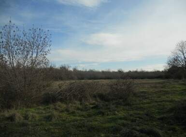 Zemljiste, Poreč, Kosinožići, prodaja, 175000 €, 25000 m2