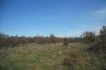 Zemljiste, Poreč, Kosinožići, prodaja, 175000 €, 25000 m2