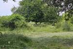 Zemljiste, Žminj, prodaja, 70000 €, 1000 m2