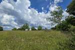 Zemljiste, Žminj, prodaja, 70000 €, 1000 m2