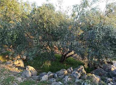 Zemljiste, Brtonigla, prodaja, 108000 €, 7202 m2