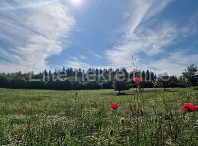 Zemljiste, Vižinada, Markovići, prodaja, 103000 €, 10000 m2