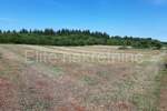 Zemljiste, Vižinada, Markovići, prodaja, 103000 €, 10000 m2