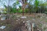 Zemljiste, Lupoglav, prodaja, 78000 €, 931 m2