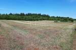 Zemljiste, Vižinada, Markovići, prodaja, 169000 €, 10858 m2