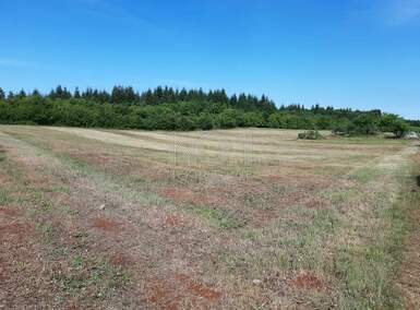 Zemljiste, Vižinada, Markovići, prodaja, 169000 €, 10858 m2