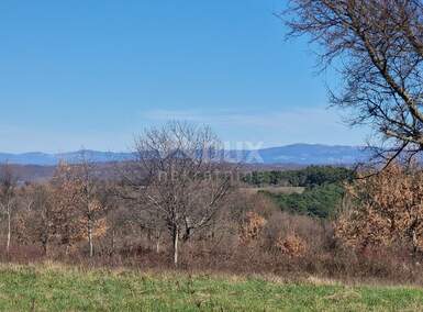 Zemljiste, Barban, prodaja, 87000 €, 1188 m2