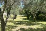 Zemljiste, Zadar, Kožino, prodaja, 335830 €, 781 m2