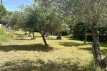 Zemljiste, Zadar, Kožino, prodaja, 335830 €, 781 m2