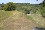 Zemljiste, Karojba, Novaki Motovunski, prodaja, 415000 €, 12550 m2