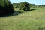 Zemljiste, Karojba, Novaki Motovunski, prodaja, 415000 €, 12550 m2