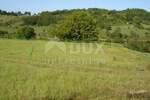 Zemljiste, Karojba, Novaki Motovunski, prodaja, 415000 €, 12550 m2