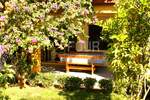 Kuca, Rovinj, prodaja, 1620000 €, 388 m2