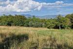 Zemljiste, Pićan, prodaja, 135000 €, 4950 m2