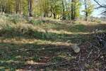 Zemljiste, Klana, prodaja, 156000 €, 7973 m2