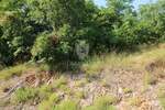 Zemljiste, Kostrena, prodaja, 990600 €, 3175 m2