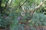 Zemljiste, Kostrena, prodaja, 990600 €, 3175 m2
