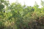 Zemljiste, Kostrena, prodaja, 990600 €, 3175 m2
