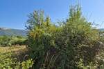 Zemljiste, Buzet, prodaja, 45000 €, 1136 m2