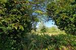 Zemljiste, Buzet, prodaja, 45000 €, 1136 m2