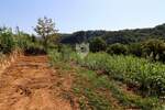 Zemljiste, Motovun, Brkač, prodaja, 99000 €, 800 m2